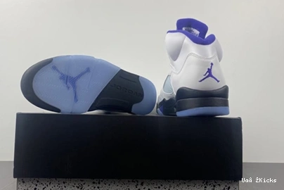 Jordan5 DD0587-141 587 Air Fashionable CONCORD 0712